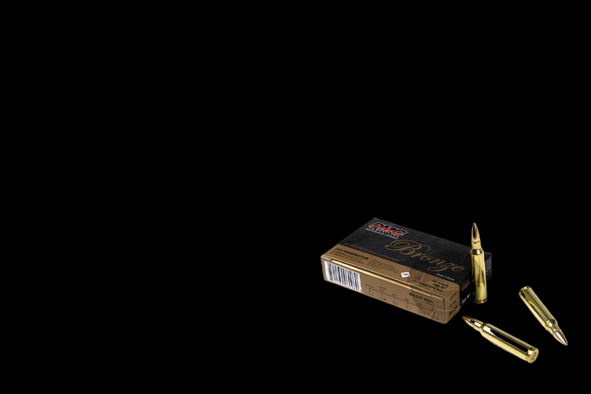 pmc bronze 223 rem 55 gr fmj bt tws waffen